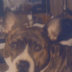 Meet your Posher, Jim